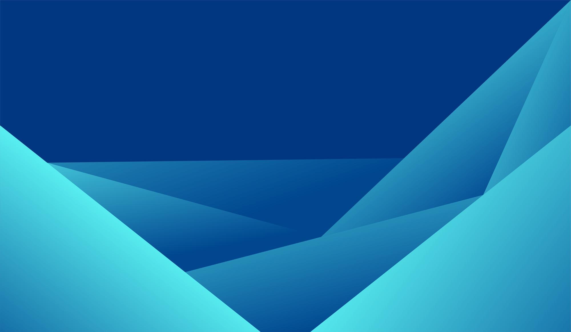 ანგარიში2
