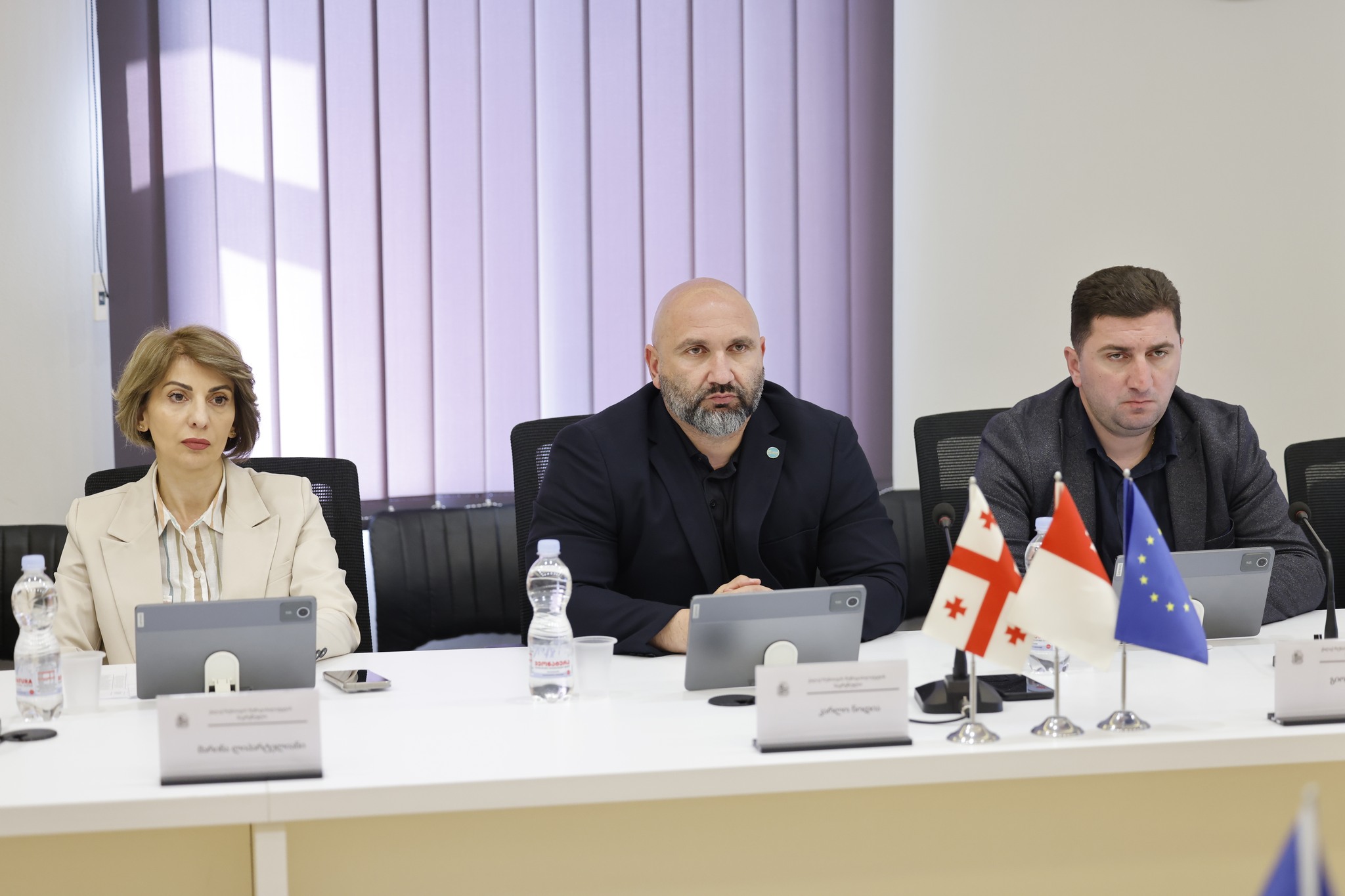 ქონების მართვისა და ბუნებრივი რესურსების საკითხების კომისიის მორიგი სხდომა ჩატარდა