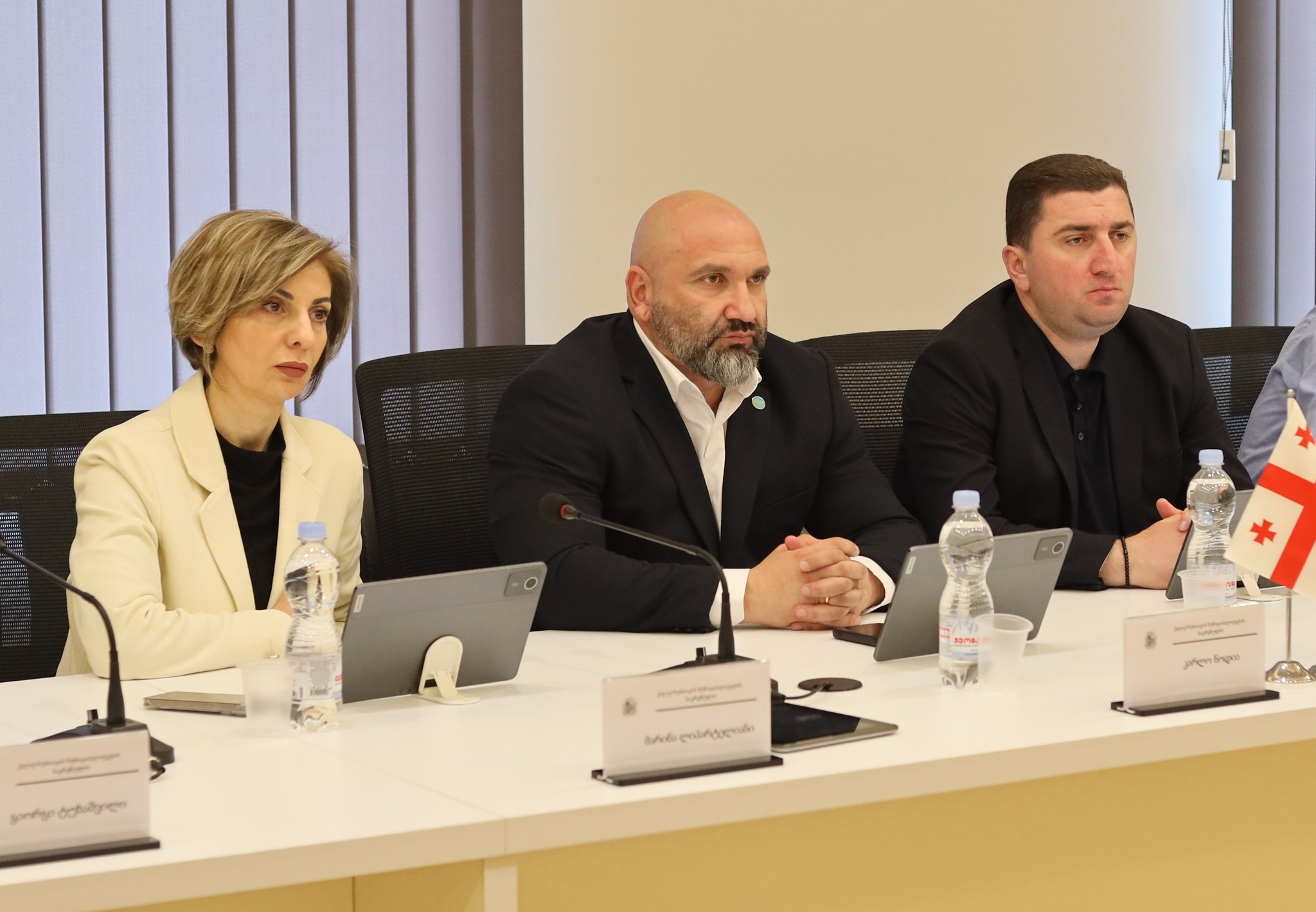 ქონების მართვისა და ბუნებრივი რესურსების საკითხების კომისიის მორიგი სხდომა ჩატარდა